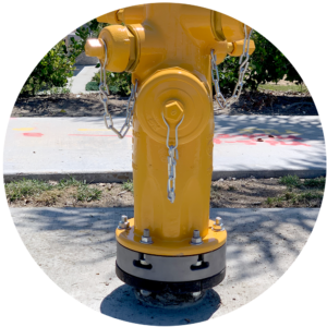HG1 check valve - yellow fire hydrant 2